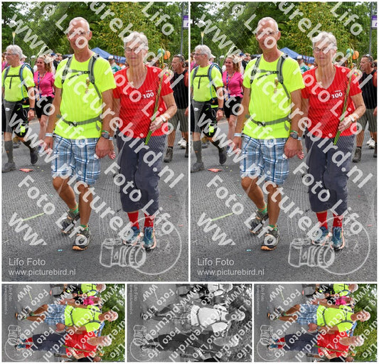 Evenement foto: Nijmeegse Vierdaagse 306