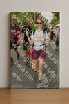 Evenement foto: Nijmeegse Vierdaagse 306