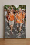 Evenement foto: Nijmeegse Vierdaagse 306