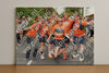 Evenement foto: Nijmeegse Vierdaagse 306