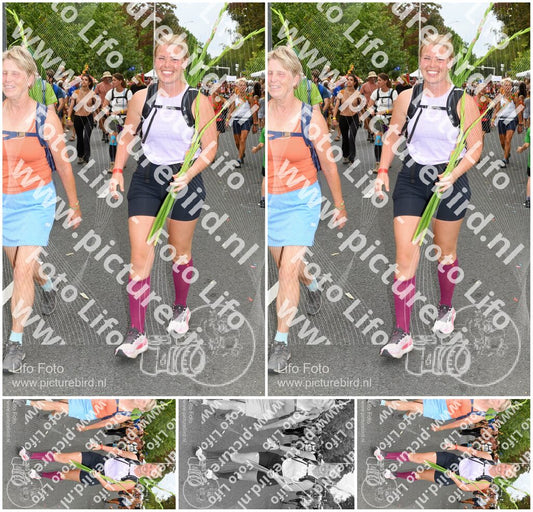 Evenement foto: Nijmeegse Vierdaagse 306