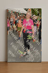 Evenement foto: Nijmeegse Vierdaagse 306