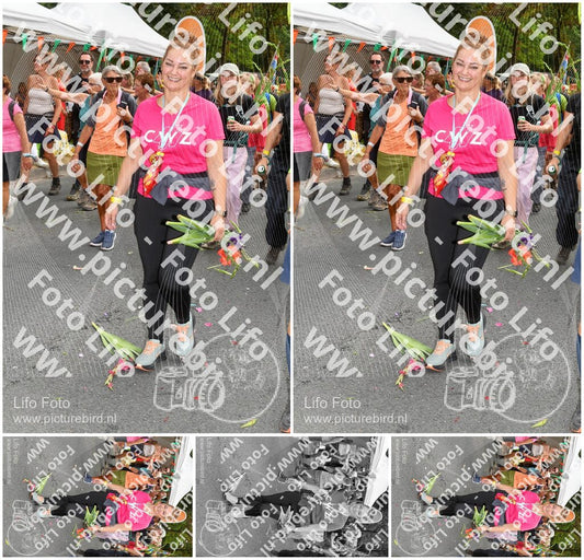 Evenement foto: Nijmeegse Vierdaagse 306