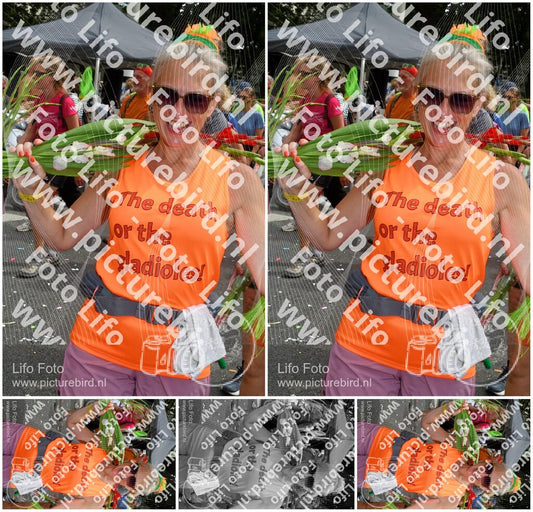 Evenement foto: Nijmeegse Vierdaagse 306