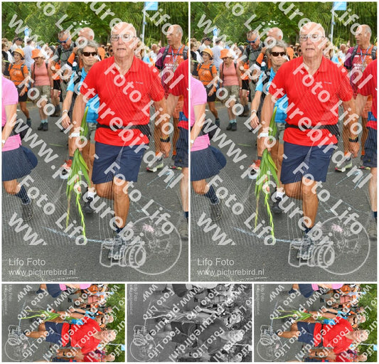 Evenement foto: Nijmeegse Vierdaagse 305