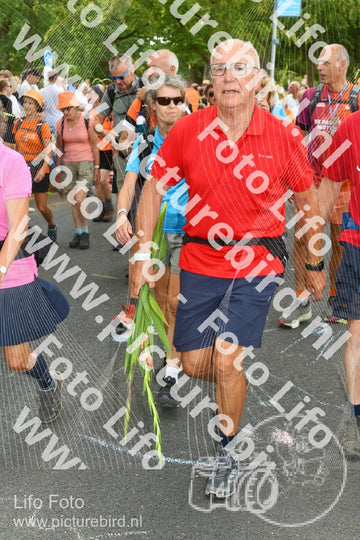 Evenement foto: Nijmeegse Vierdaagse 305