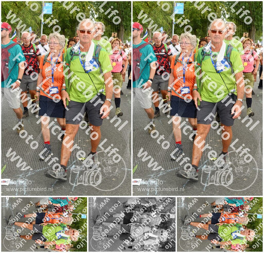 Evenement foto: Nijmeegse Vierdaagse 305