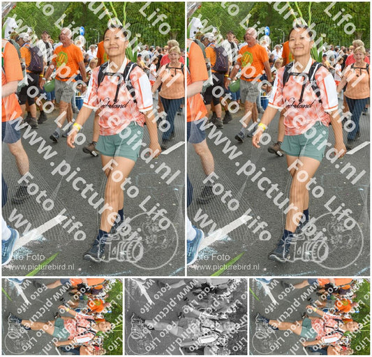 Evenement foto: Nijmeegse Vierdaagse 305