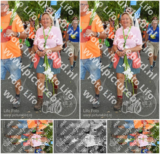 Evenement foto: Nijmeegse Vierdaagse 305