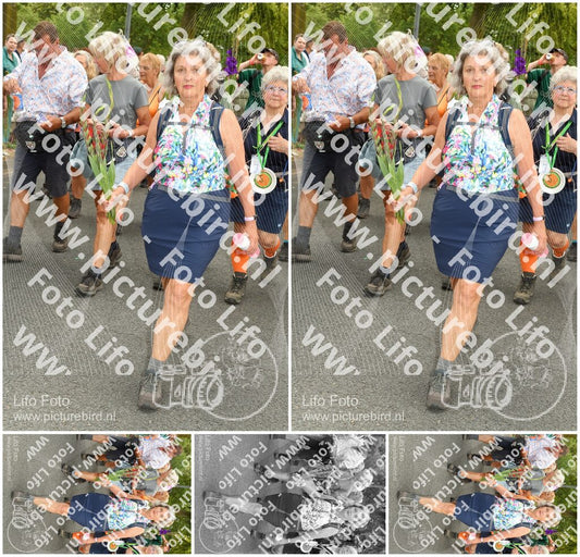 Evenement foto: Nijmeegse Vierdaagse 305
