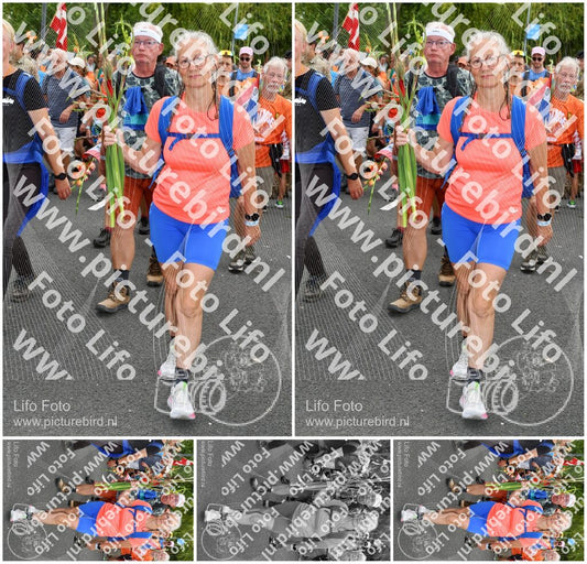 Evenement foto: Nijmeegse Vierdaagse 305
