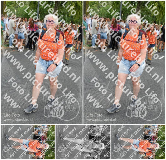 Evenement foto: Nijmeegse Vierdaagse 305