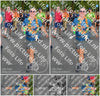Evenement foto: Nijmeegse Vierdaagse 305