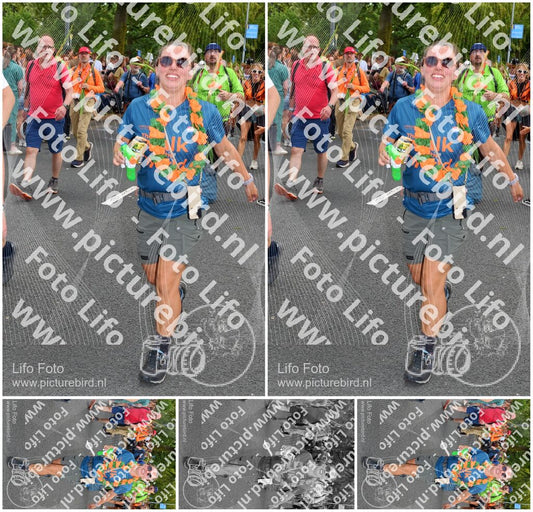 Evenement foto: Nijmeegse Vierdaagse 305