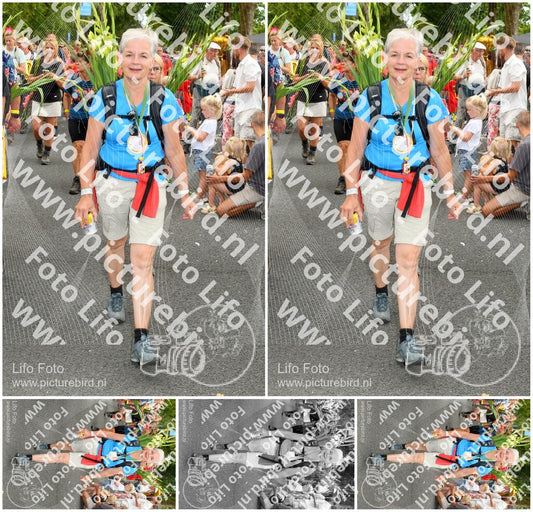 Evenement foto: Nijmeegse Vierdaagse 305