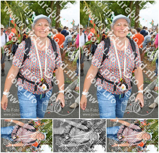 Evenement foto: Nijmeegse Vierdaagse 305