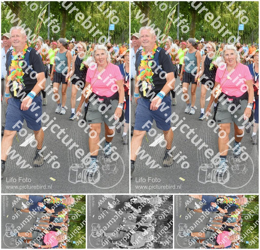 Evenement foto: Nijmeegse Vierdaagse 305