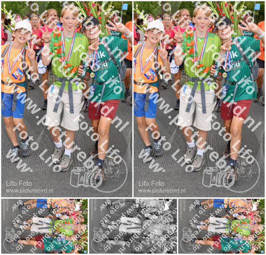 Evenement foto: Nijmeegse Vierdaagse 305