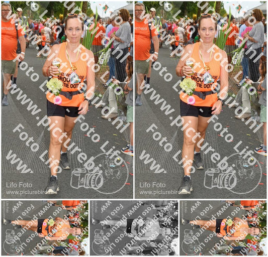 Evenement foto: Nijmeegse Vierdaagse 305