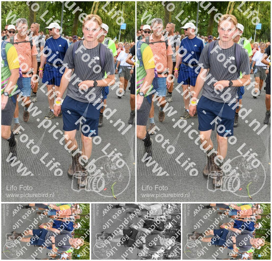 Evenement foto: Nijmeegse Vierdaagse 305