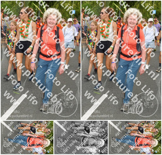 Evenement foto: Nijmeegse Vierdaagse 305