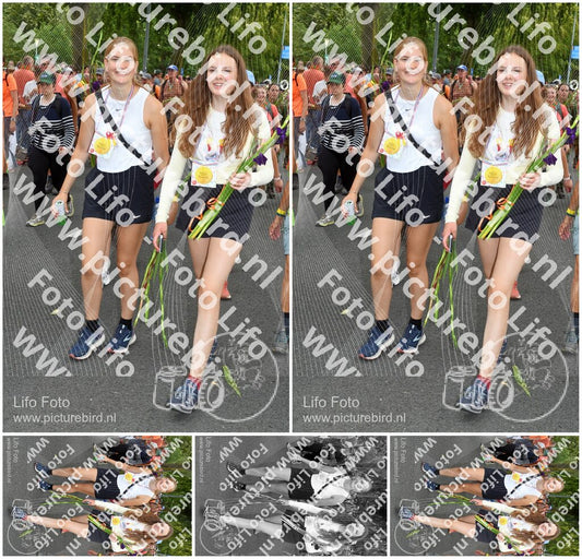 Evenement foto: Nijmeegse Vierdaagse 305