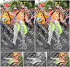 Evenement foto: Nijmeegse Vierdaagse 305