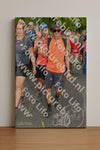 Evenement foto: Nijmeegse Vierdaagse 305