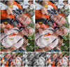 Evenement foto: Nijmeegse Vierdaagse 305