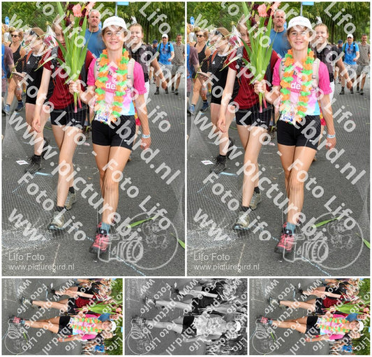 Evenement foto: Nijmeegse Vierdaagse 305