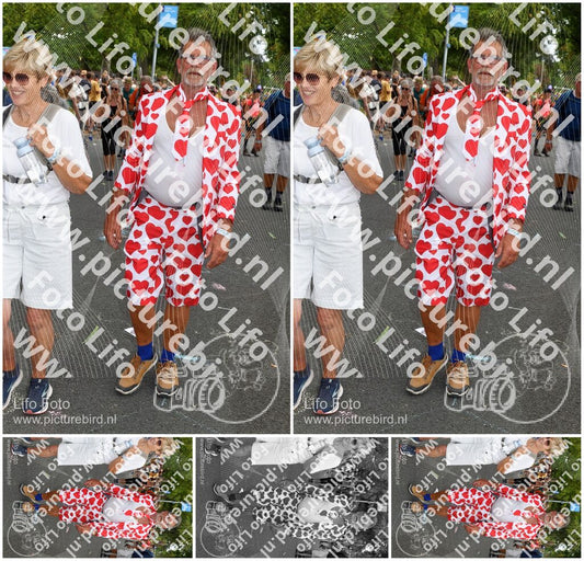 Evenement foto: Nijmeegse Vierdaagse 305