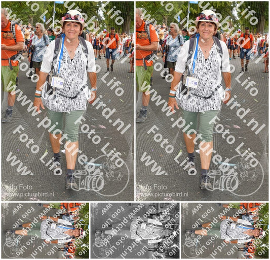 Evenement foto: Nijmeegse Vierdaagse 305