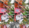 Evenement foto: Nijmeegse Vierdaagse 304
