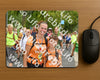 Evenement foto: Nijmeegse Vierdaagse 304