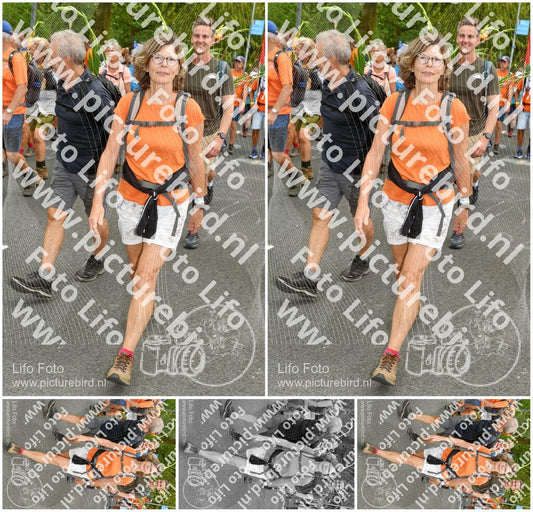 Evenement foto: Nijmeegse Vierdaagse 304