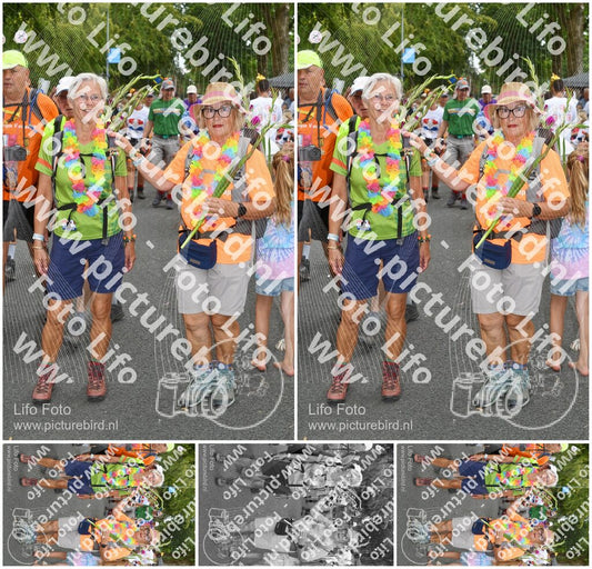 Evenement foto: Nijmeegse Vierdaagse 304