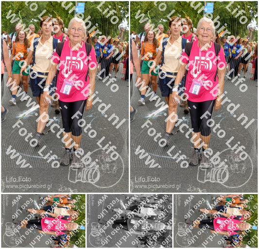 Evenement foto: Nijmeegse Vierdaagse 304
