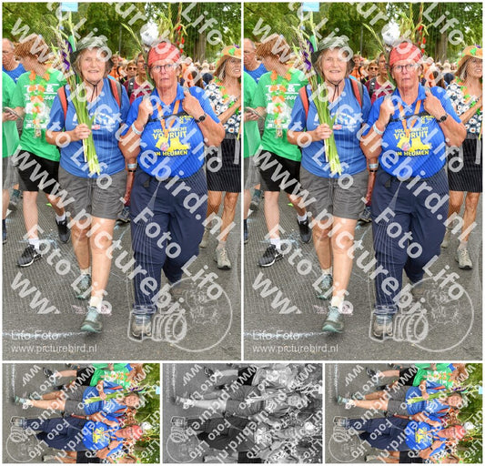 Evenement foto: Nijmeegse Vierdaagse 304