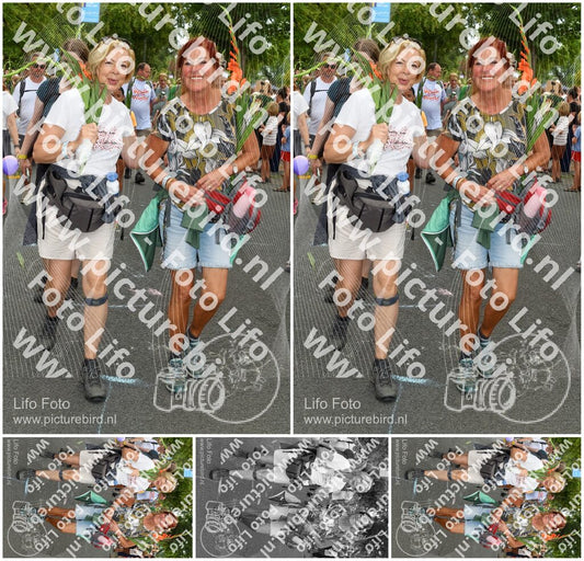 Evenement foto: Nijmeegse Vierdaagse 304