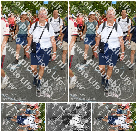 Evenement foto: Nijmeegse Vierdaagse 304