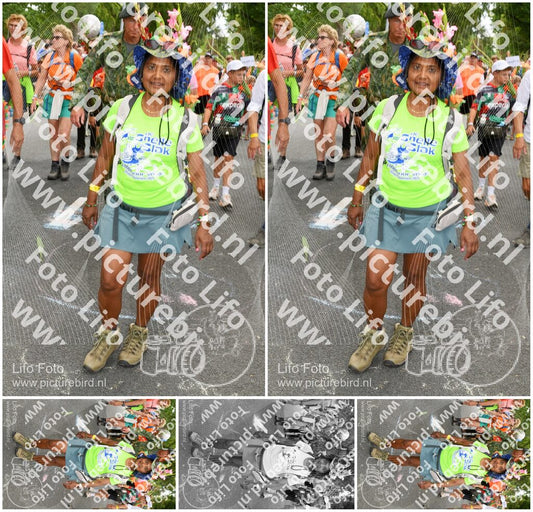 Evenement foto: Nijmeegse Vierdaagse 304