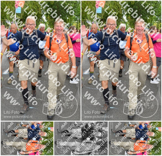 Evenement foto: Nijmeegse Vierdaagse 304