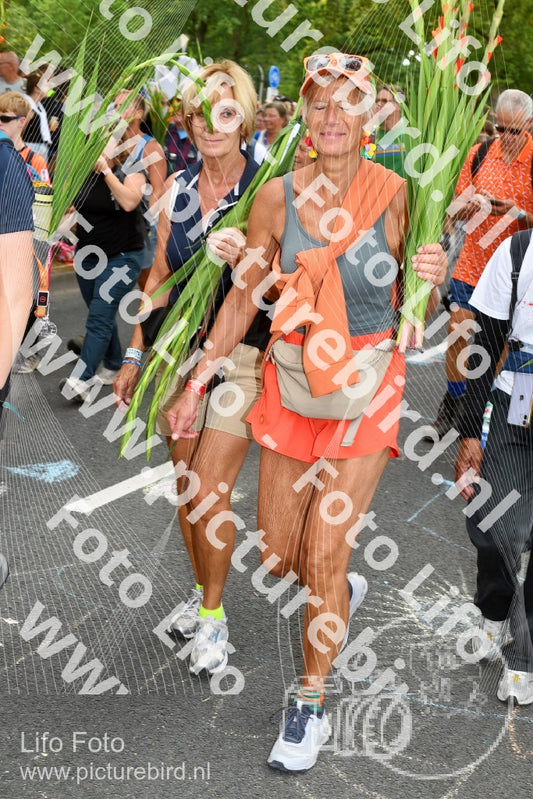 Evenement foto: Nijmeegse Vierdaagse 304