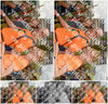 Evenement foto: Nijmeegse Vierdaagse 304