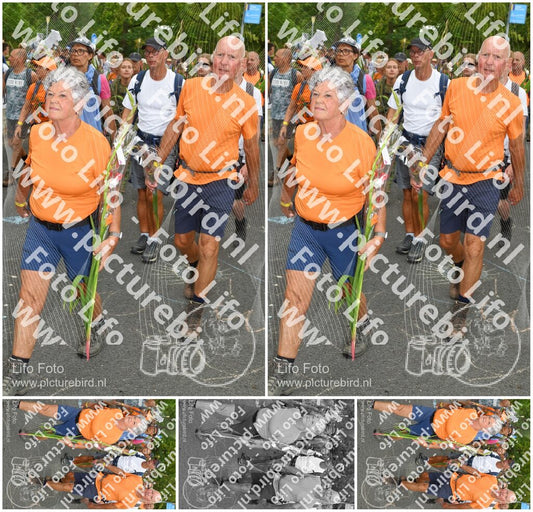 Evenement foto: Nijmeegse Vierdaagse 304