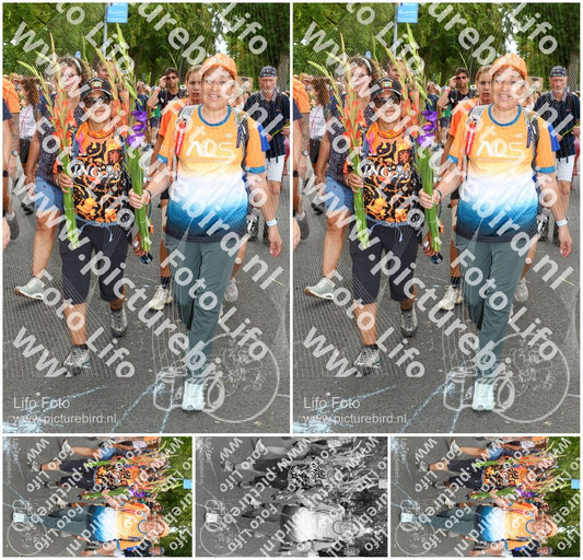Evenement foto: Nijmeegse Vierdaagse 304