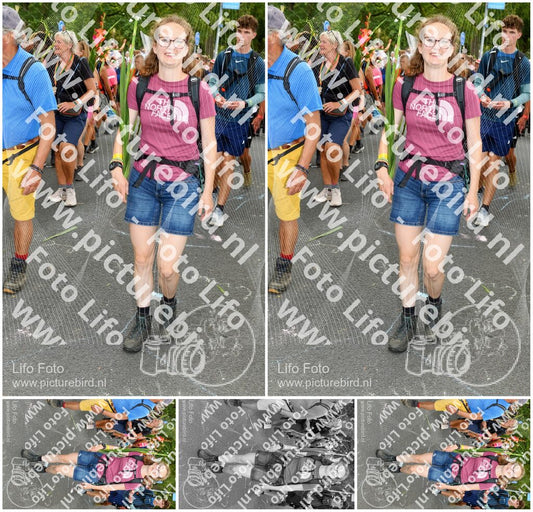 Evenement foto: Nijmeegse Vierdaagse 304