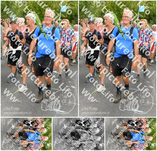 Evenement foto: Nijmeegse Vierdaagse 304