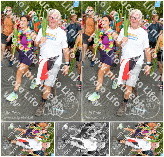 Evenement foto: Nijmeegse Vierdaagse 304