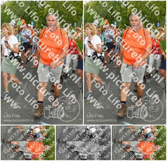 Evenement foto: Nijmeegse Vierdaagse 304